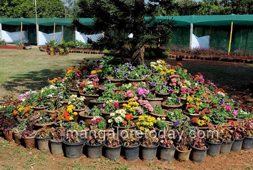 flower show at kadri park 1